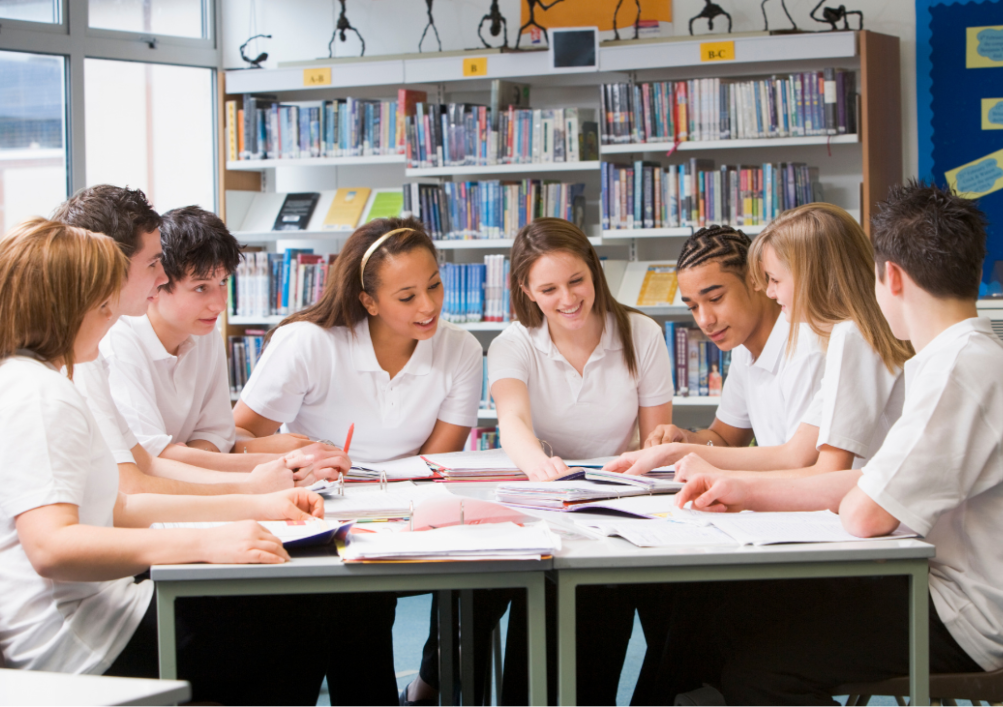 Students working together with support